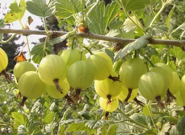 Content d8ffc6d2dcc14e79901deebfce9...