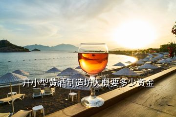 開小型黃酒制造坊大概要多少資金